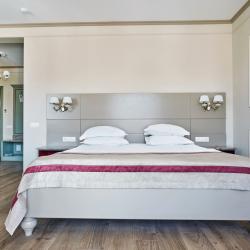 Комната люкс с 1 двуспальной кроватью (с завтраком)