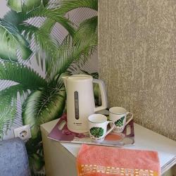 Фото Апартаменты на улице Вокзальная 66А