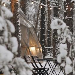 Фото Отель Вили Улей Волга