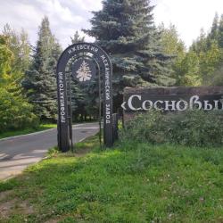 Фото Отель Сосновый