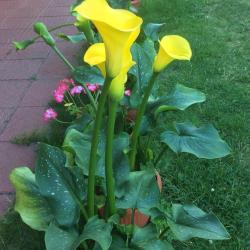 Фото Отель Отдых на Куршской косе