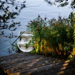 Фото Парк-отель Песчаный