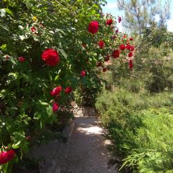 Фото Отель Соната