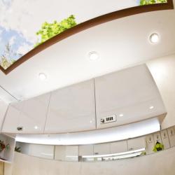 Фото Отель Arderia (Ардерия)