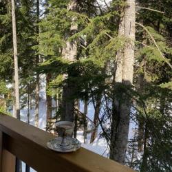 Фото Отель Dombay Winter Hall (Винтер Холл)