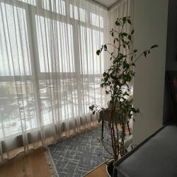 2-комнатные апартаменты стандарт