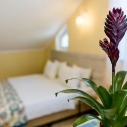 Фото Отель GvinoMinda Hotel (ГвиноМинда)