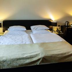 Номер стандарт с 1 двуспальной кроватью