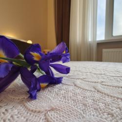 Центральная — 6ae791a95eaaa270eed9df5b6b696c19