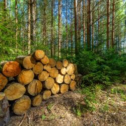 Фото Отель След Лося