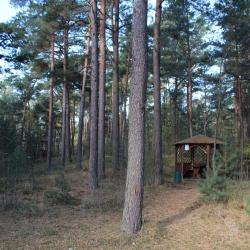 Фото Отель Дом Рыболова