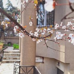 Фото Отель Iliani (Илиани)