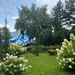 Фото Отель Malamut Land (Маламут Ленд)