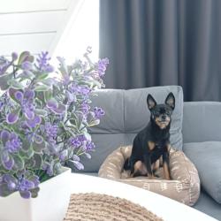 Фото Отель Ягренево Парк