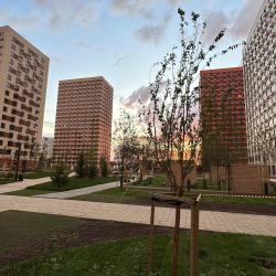 Фото Апартаменты Истомáн |Студия - вид на пруд