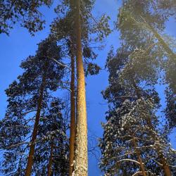 Фото Отель Берлога