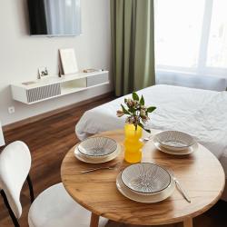 1-комнатные апартаменты студия №2