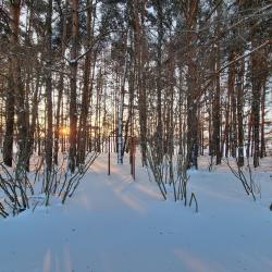 Фото Отель ЛаДача