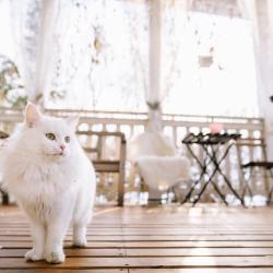 Фото Отель Скоково Парк