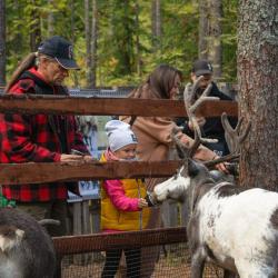 Фото Отель Пасторское озеро