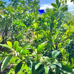 Фото Отель Каролина