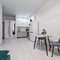 Фото Апартаменты Степаненков на Семьи Шамшиных 91