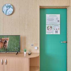 Фото Отель Гостевой дом Зеленый