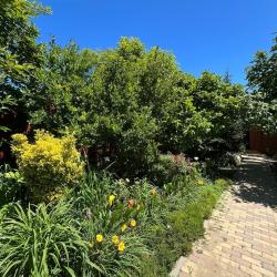 Фото Отель Диво