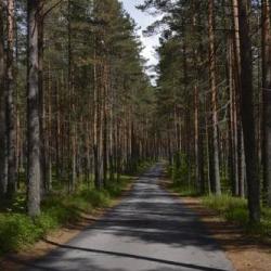 фото 7 Динамо