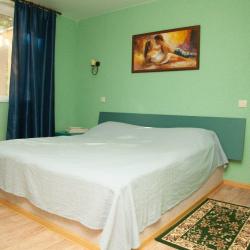 Номер стандарт с 1 двуспальной кроватью