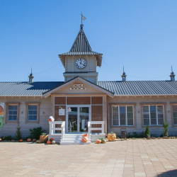 Фото Отель Гостиничный комплекс Кремниевы термы