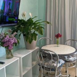 1-комнатные апартаменты студия 1.3