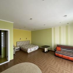 Фото Отель Лев