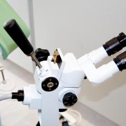 Фото Отель Вятичи Eco Resort & Medical Spa