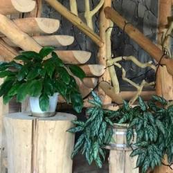 Фото Отель Жукова Гора