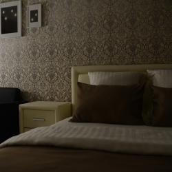 1-комнатные апартаменты стандарт с 1 двуспальной кроватью