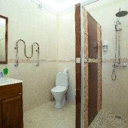 Фото Отель Серый Гусь