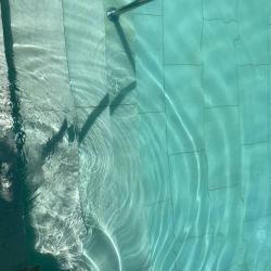 Фото Отель Морская Симфония-2 на улице Ленина 298Б корпус 4
