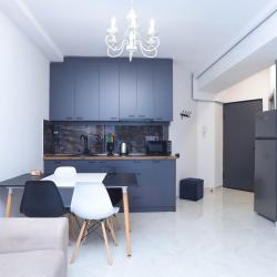 1-комнатные апартаменты стандарт Stay Inn на улице Пушкина 43, кв. 67