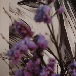 Фото Отель Байкал Хан Ольхон