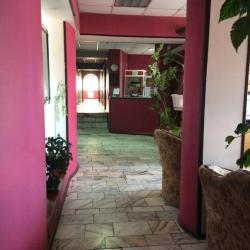 Фото Отель Кедр