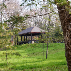 Фото Отель Royal Park (Роял Парк)