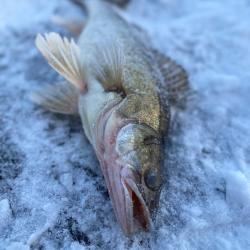 Фото Отель Кангас