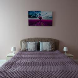 Фото Уютные апартаменты на улице Новгородская