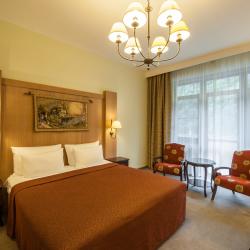 Номер делюкс с 1 двуспальной кроватью с балконом