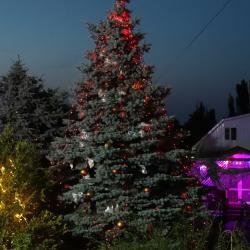 Фото Отель Сокол