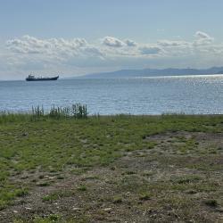 Фото Апартаменты на проспекте 100-летия а