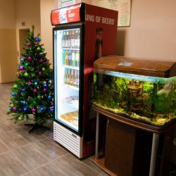 Фото Отель Азалия на Аграрной