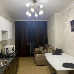 Фото Апартаменты на улице Академика Шёгрена, 17