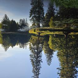 Фото Апартаменты на улице Заречная 17